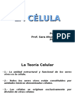  Célula Procariota y Célula Eucariota