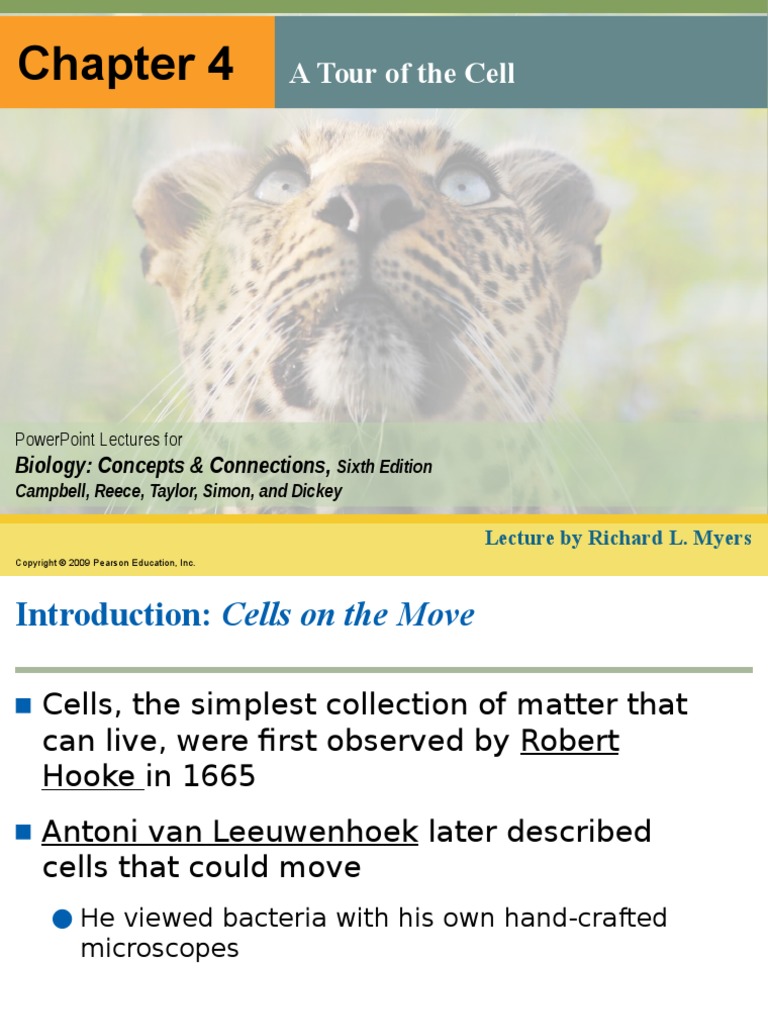 Chapter 4 - Cells - Biology | PDF | Eukaryotes | Cell (Biology)