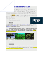 Clasificación de Los Seres Vivos