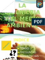 Contaminacion Ambiental