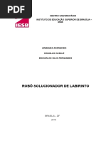 Robot Solver of Maze