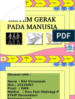 Tugas PPT Sistem Gerak Manusia