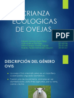 PRESENTACION-OVEJAS