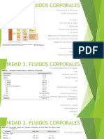 Unidad 3. Fluidos Corporales