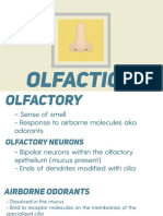 Olfaction