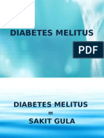 Diabetes Melitus Penyuluhan