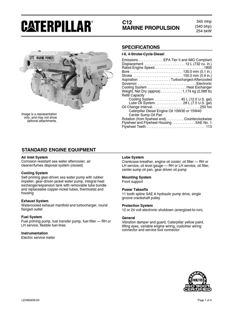 Cat 12 | PDF | Home & Garden | Computers
