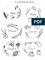 Parts of The Plant We Eat