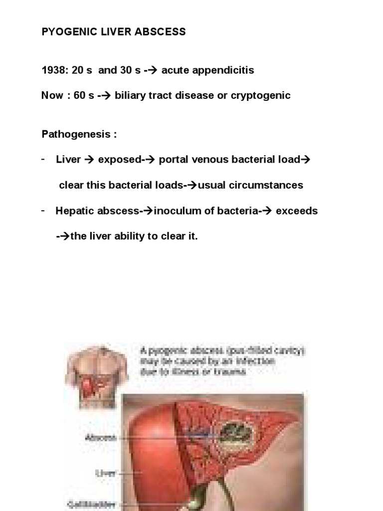 Liver Abscess Liver Gastroenterology
