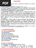 Receptor Es