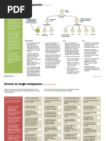 Scrum In Large Companies public edition v1.1.pdf