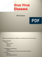 Citrus virus diseases.pdf