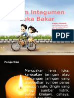 Sistem Integumen Luka Bakar