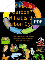 Co2 What Is Carbon