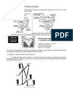 Clima PDF