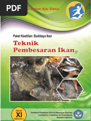 68 Ketinggian Ikan Dari Permukaan Air Laut Dinyatakan Dalam Tabel Berikut HD Terbaru
