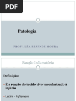 Aula Inflamação 2016