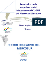 CONEAU-DEA-Arequipa_Alvaro Maglia - Resultados de la experiencia del Mecanismo A.pdf