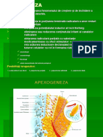 Curs6-Apexogeneza Si Apexificare