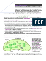 A2 3 1 Chloroplasts and Photosynthesis PDF