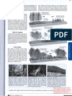 forestry guided notes  