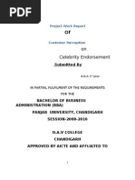 Download Celebrity Endorsement by ramesh SN32965673 doc pdf