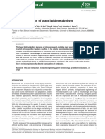 Synthetic Redesign of Plant Lipid Metabolism