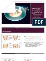 Embriogenesis Del Aparato Respiratorio