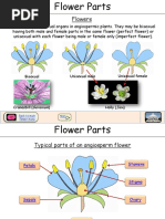 Flower Parts