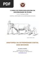 Anatomia Podal Bovina RR 2006