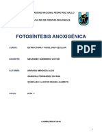 Fotosintesis Anoxigenica Monografia