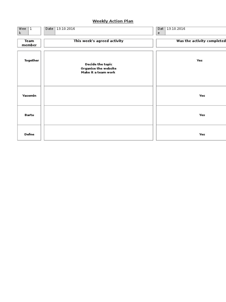Weekly Team Action Plan Summary | PDF