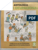 Seguridad Ocupacional