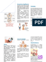 Enfermedades Del Sistema Endocrino