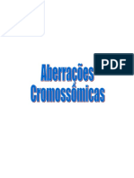 Aberrações cromossomicas.doc