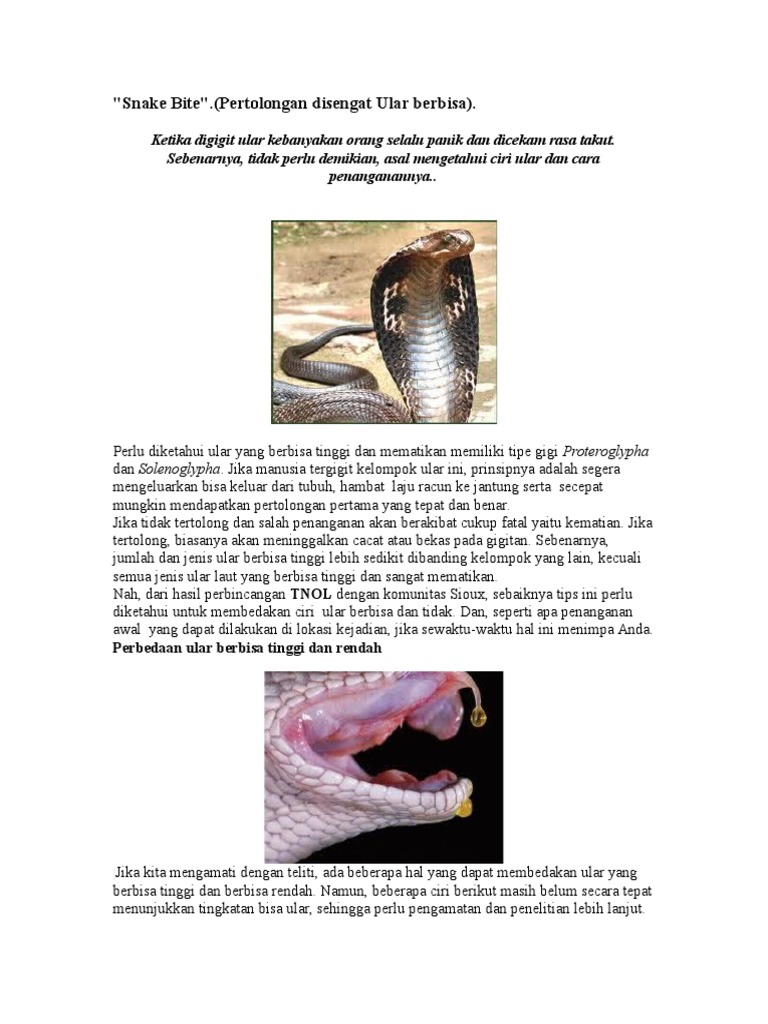 Snake Bite | PDF