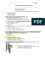 Prueba Ciencias - Sist. Nervioso y Alcohol