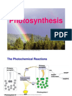 Photosynthesis Lect 2