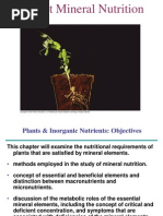 Download Plant Mineral Nutrition by Nam Gonzales SN32970686 doc pdf
