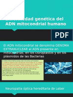 Enfermedad Genética Del ADN Mitocondrial Humano Bio