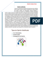 Opinión Modificada y Consideraciones Especiales