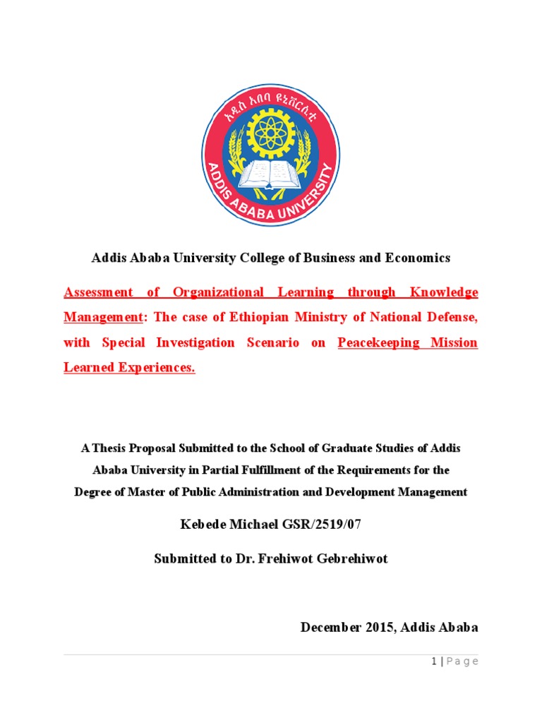 addis ababa university business plan pdf