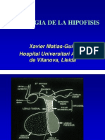 anatomia patologica - hipofisis