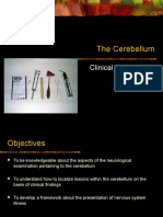 Clinical Exam