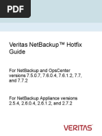 Veritas NetBackup Hotfix Guide