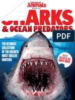 World - Of.animals Book - of.Sharks.&.Ocean - Predators P2P