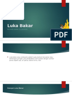 Luka Bakar