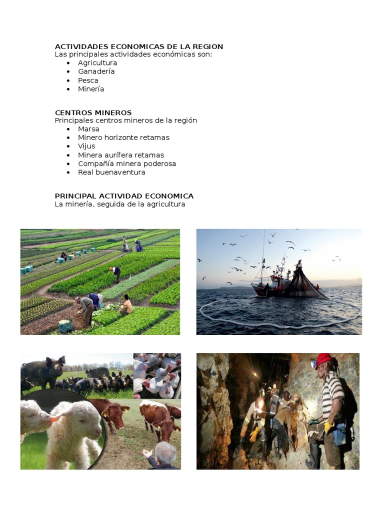 Actividades Economicas de La Region | PDF | Percepción visual | Minería