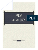 FAENA de vacunos.pdf