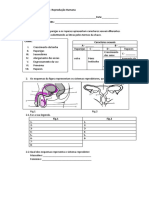 1293752620_ficha_cn_-_reprodução_humana.pdf